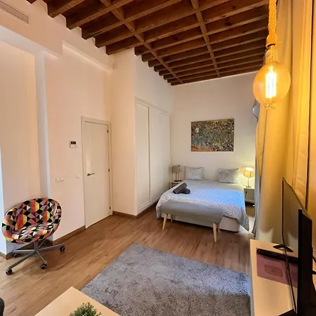 Boutique Larios - Center Apartment *